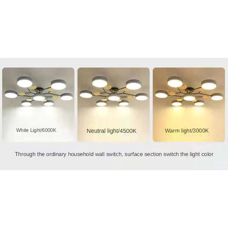 Moderne runde LED Deckenleuchte für Wohn- / Schlafzimmer, Grün - Lumpaz