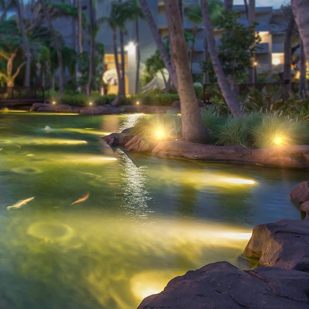 Orr Strahler unter Wasser, 12/13/23CM Lang - Lumpaz