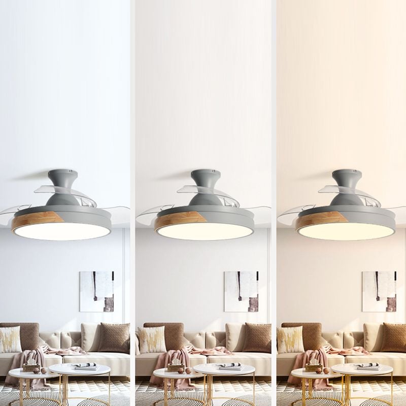 Morandi Deckenventilator mit Beleuchtung Klare Blätter, 5 Farben, ∅90/100CM - Lumpaz