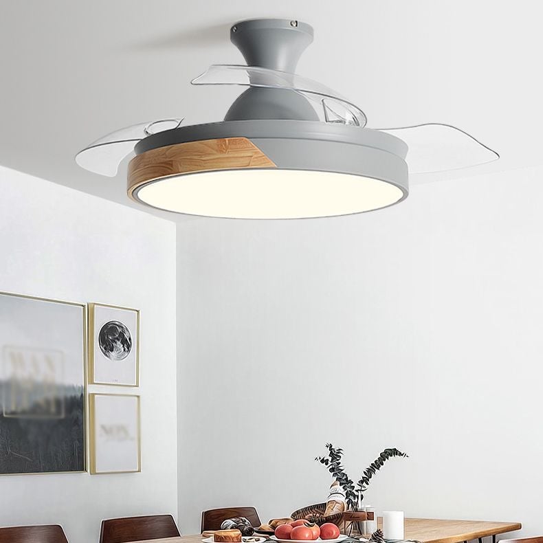 Morandi Deckenventilator mit Beleuchtung Klare Blätter, 5 Farben, ∅90/100CM - Lumpaz