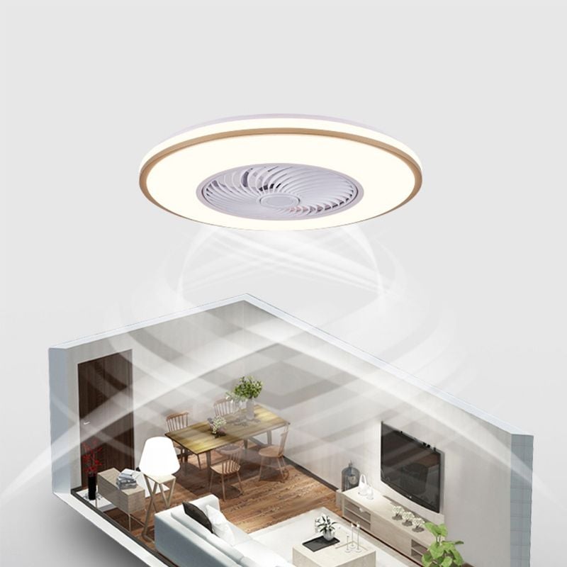 Quinn Deckenventilator mit Beleuchtung 3-Blatt, 8 Farben, ∅50CM - Lumpaz