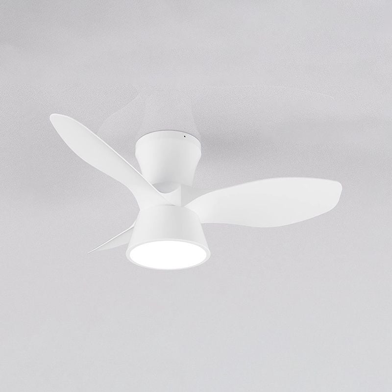 Walters Deckenventilator mit Beleuchtung, 3 Farben, 80CM Lang - Lumpaz