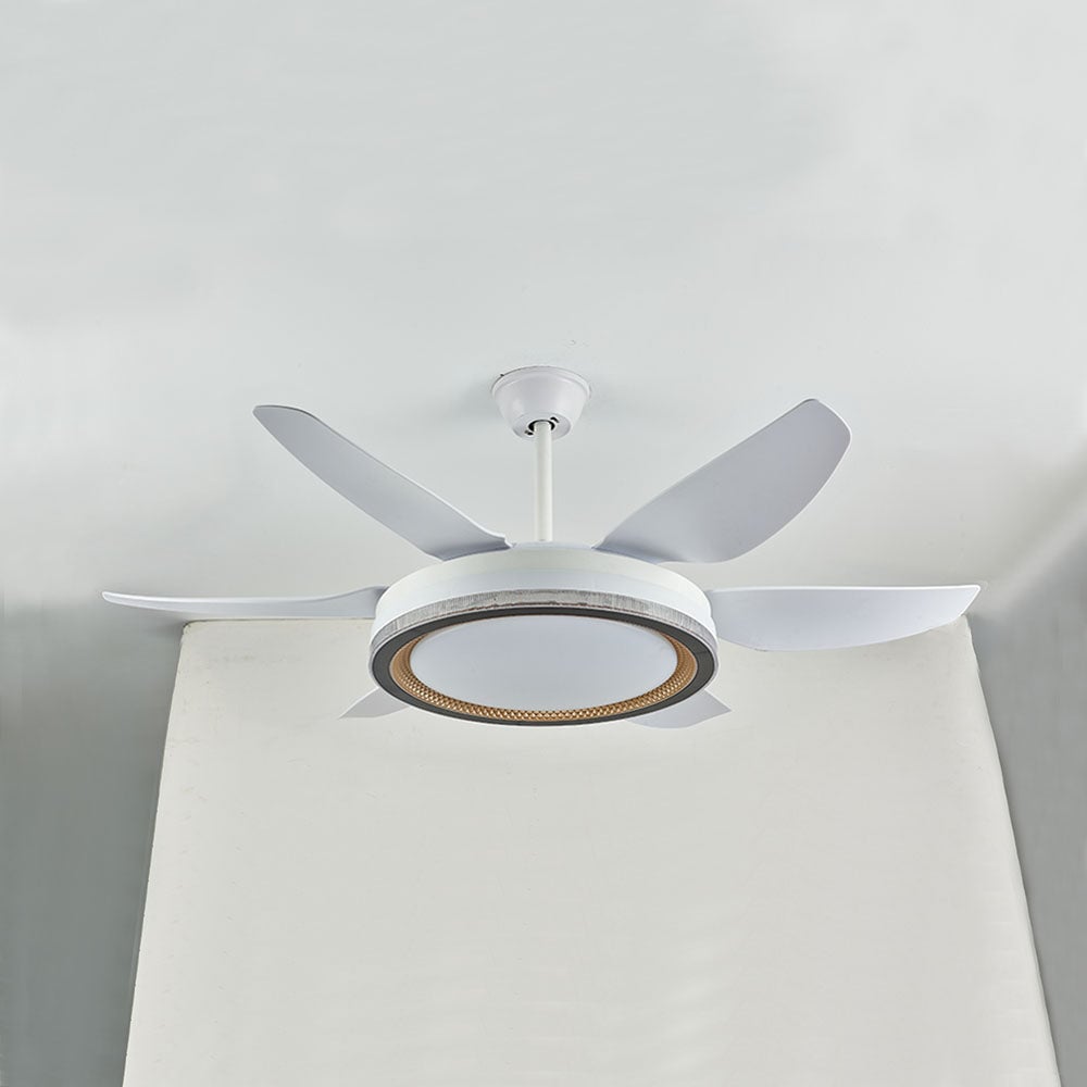 Haydn 6-Blatt-Deckenventilator mit Beleuchtung Grundlegend, ∅130CM - Lumpaz