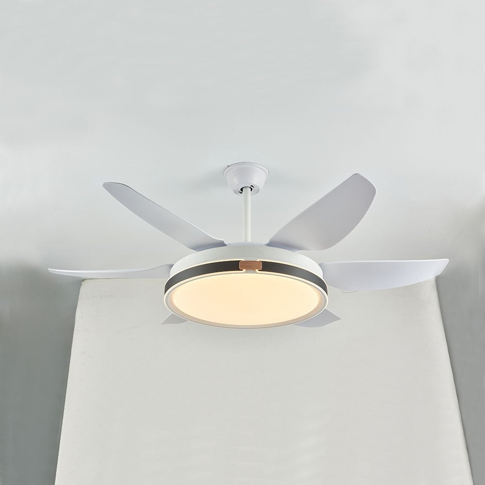 Haydn 6-Blatt-Deckenventilator mit Beleuchtung, 4 Farben, ∅130CM - Lumpaz
