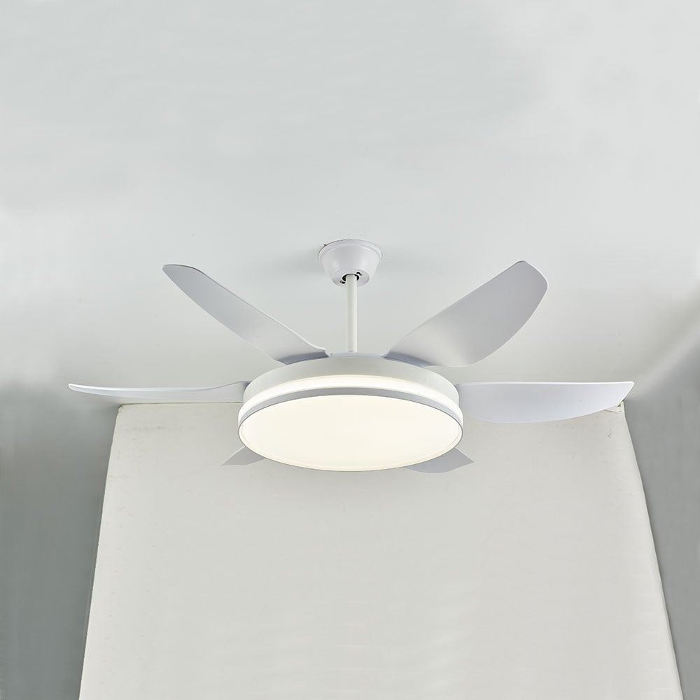 Haydn 6-Blatt-Deckenventilator mit Beleuchtung, 3 Farben, ∅130CM - Lumpaz