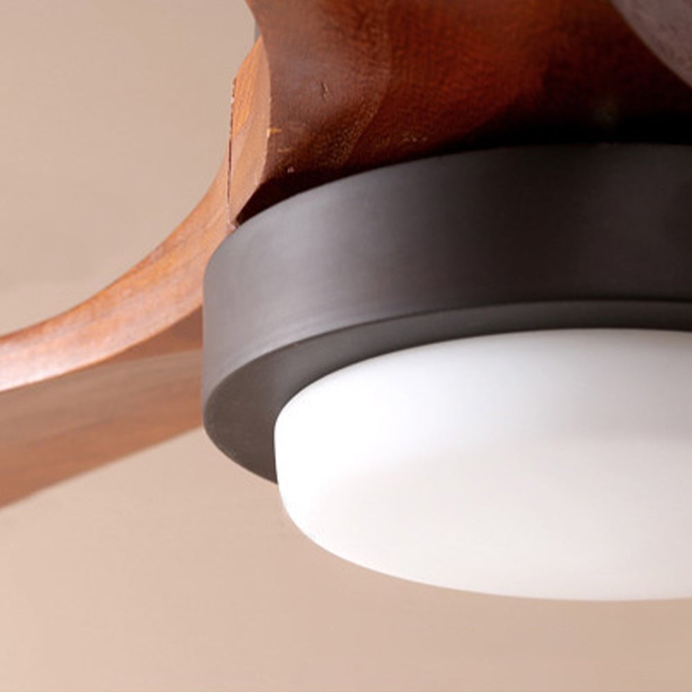Haydn 3-Blatt Schwarzer Deckenventilator mit Beleuchtung, Metall & ABS, ∅132CM - Lumpaz