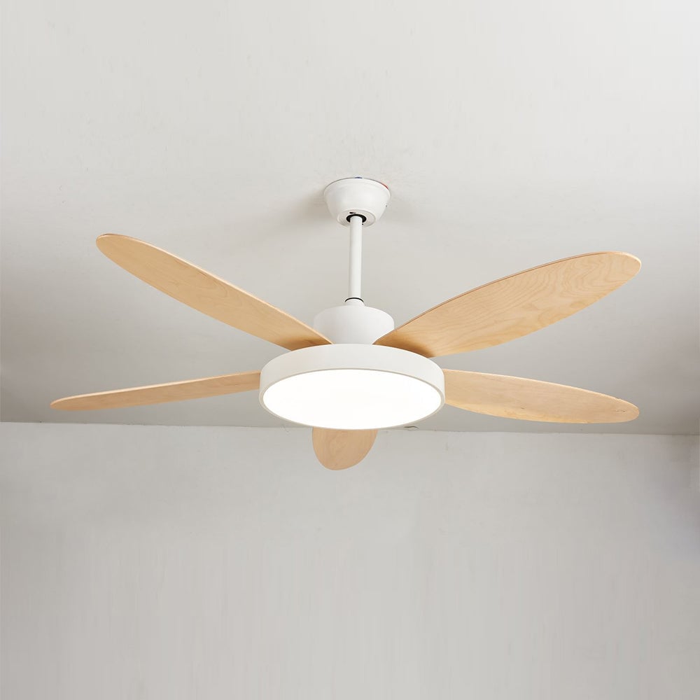 Haydn 5 Blätter Weiß und Schwarz Deckenventilator mit Beleuchtung, ∅120/130/140CM - Lumpaz