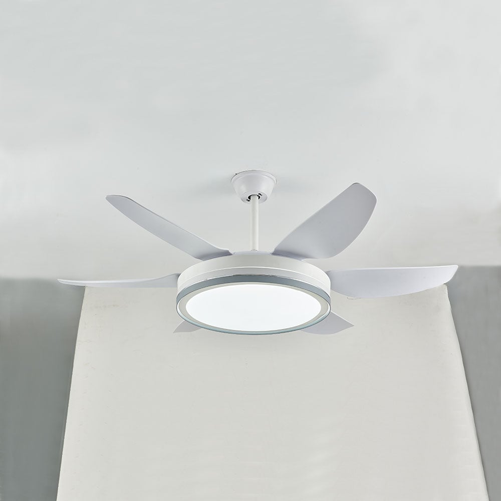 Haydn 6-Blatt-Deckenventilator mit Beleuchtung Grundlegend, 2 Farben, ∅130CM - Lumpaz