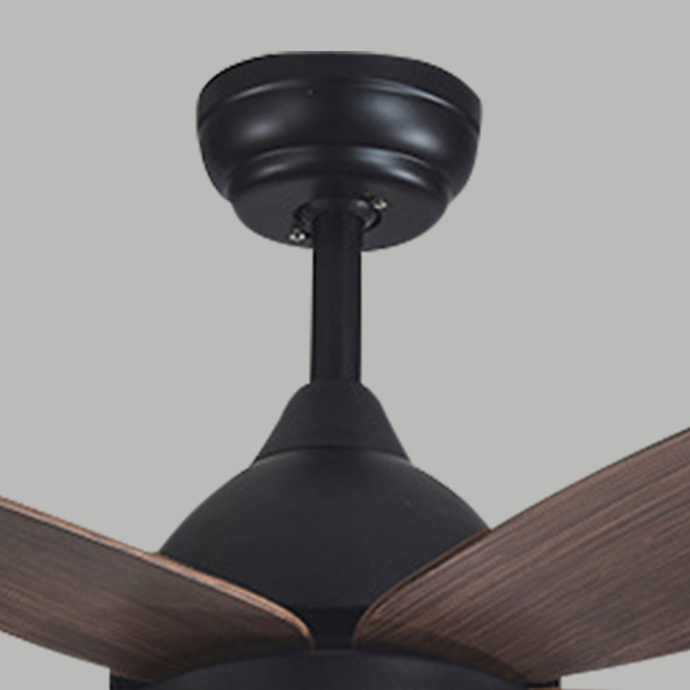 Haydn 5-Blätter Schwarzer Deckenventilator, Metall & Holz, ∅ 120CM - Lumpaz