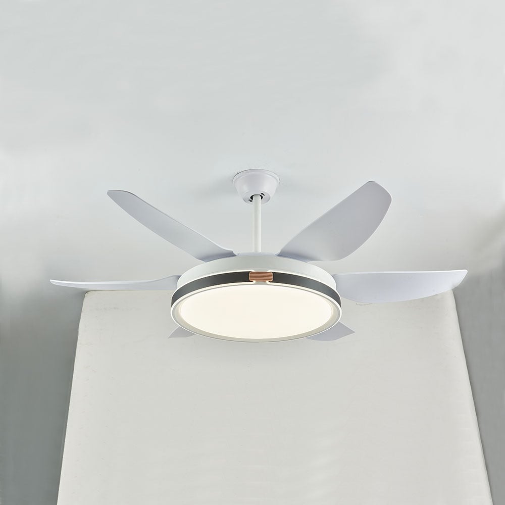 Haydn 6-Blatt-Deckenventilator mit Beleuchtung, 4 Farben, ∅130CM - Lumpaz