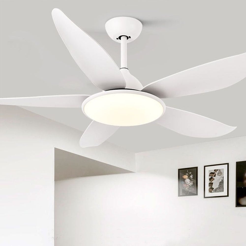 Haydn 5-Blätter Grundlegender Dicker Deckenventilator, 2 Farben, Metall & ABS, ∅132CM - Lumpaz
