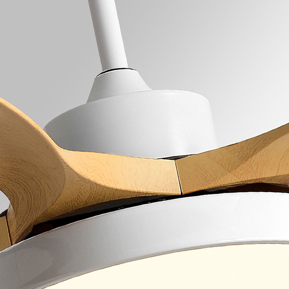 Ozawa Elementar Weiß und Schwarz 5 Blätter Deckenventilator mit Beleuchtung, Hölzern, ∅130CM - Lumpaz