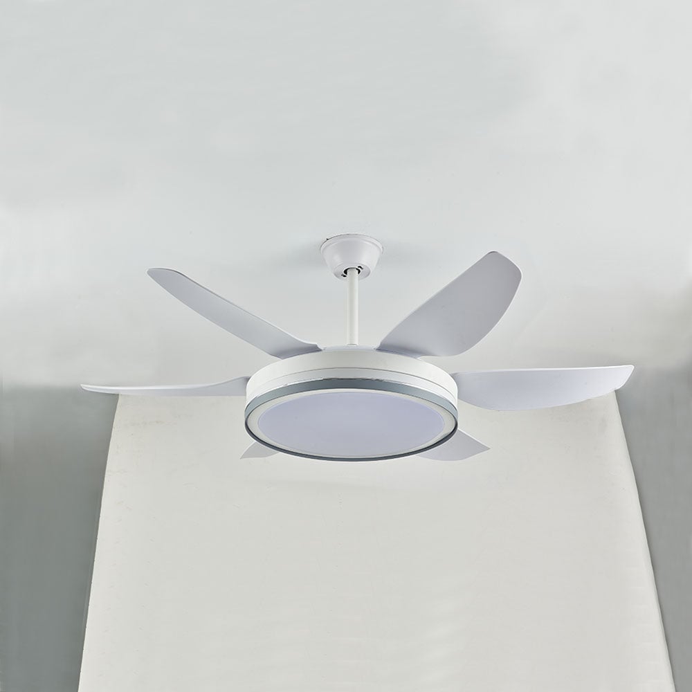 Haydn 6-Blatt-Deckenventilator mit Beleuchtung Grundlegend, 2 Farben, ∅130CM - Lumpaz