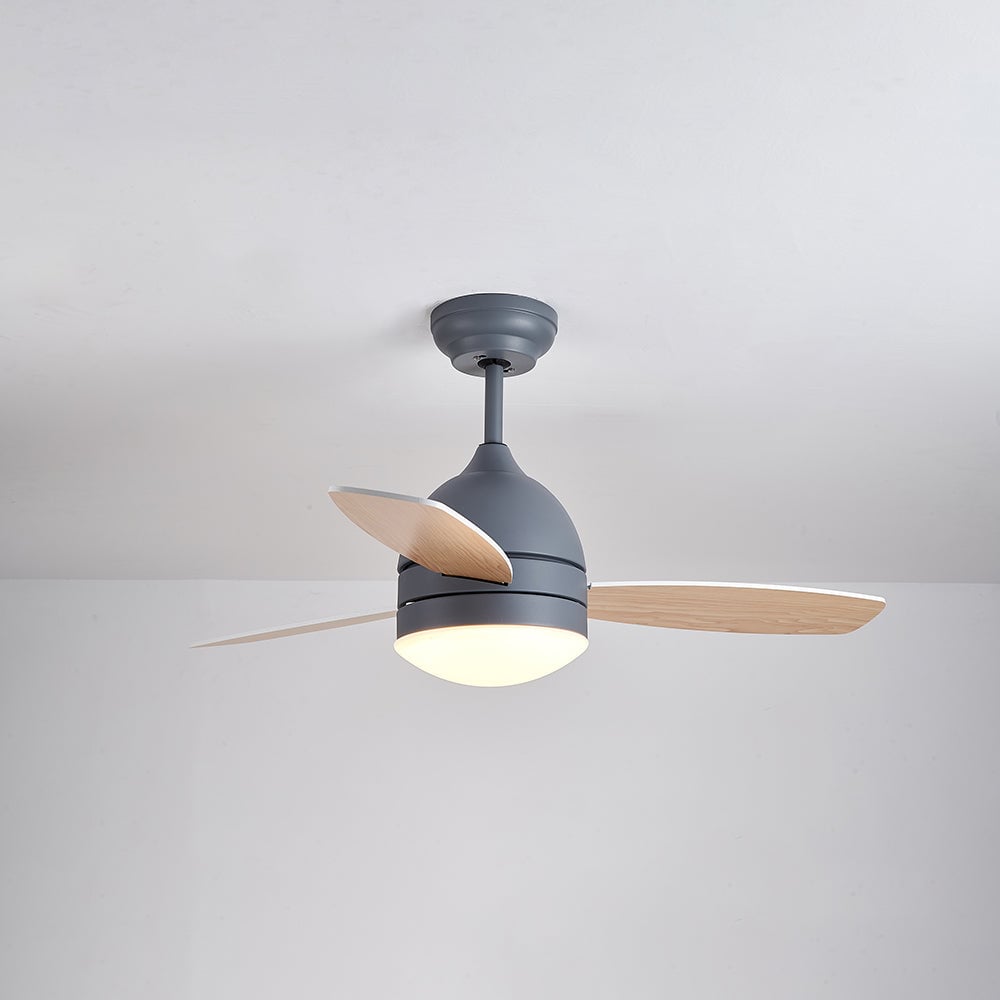 Haydn Modern Elementar Deckenventilator mit Beleuchtung, 3 Farben, ∅105CM - Lumpaz