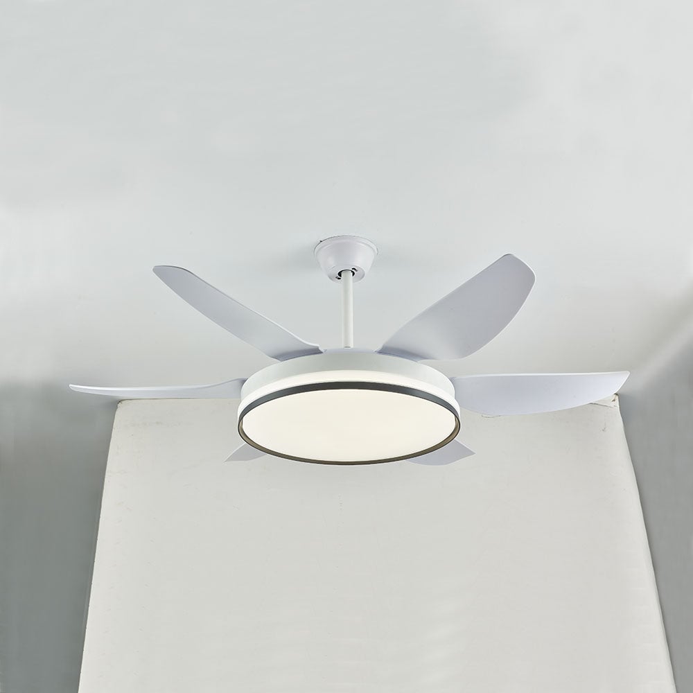 Haydn 6-Blatt-Deckenventilator mit Beleuchtung, 3 Farben, ∅130CM - Lumpaz