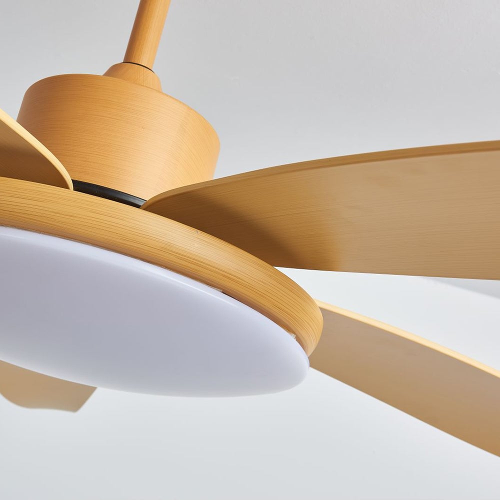 Haydn 5 Blätter Deckenventilator mit Beleuchtung, Metall & Acryl, ∅100/120CM - Lumpaz