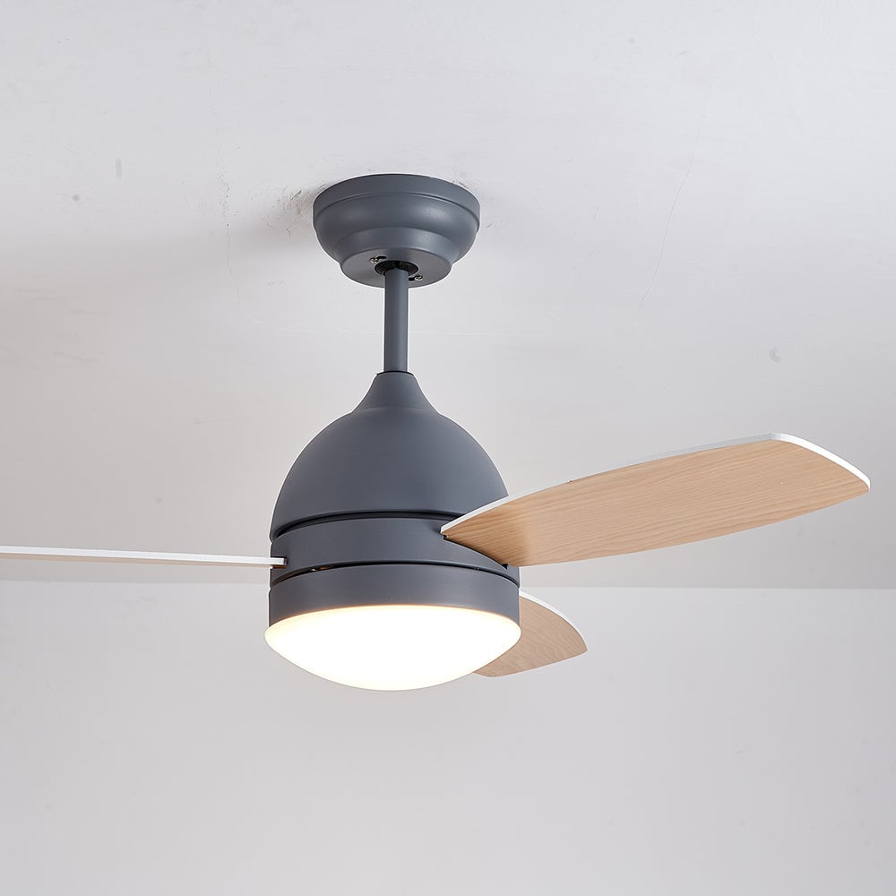 Haydn Modern Elementar Deckenventilator mit Beleuchtung, 3 Farben, ∅105CM - Lumpaz