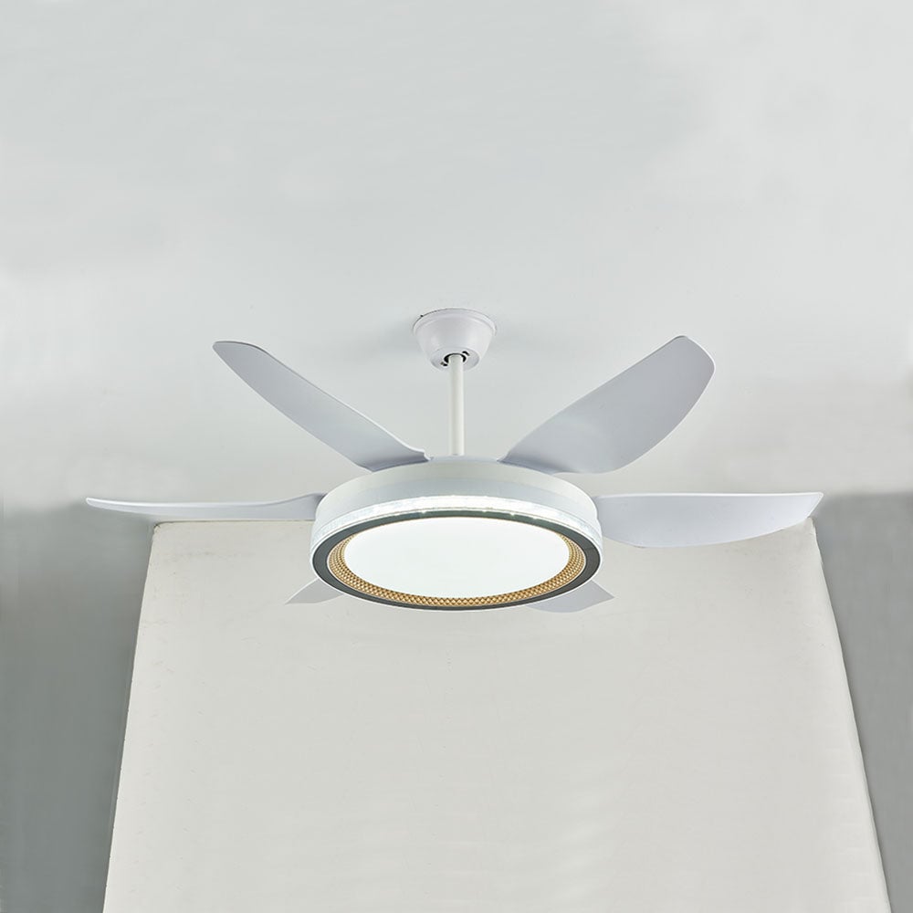 Haydn 6-Blatt-Deckenventilator mit Beleuchtung Grundlegend, ∅130CM - Lumpaz