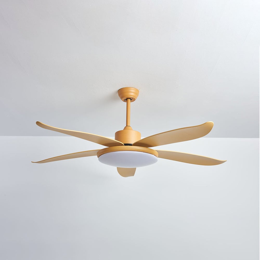 Haydn 5 Blätter Deckenventilator mit Beleuchtung, Metall & Acryl, ∅100/120CM - Lumpaz