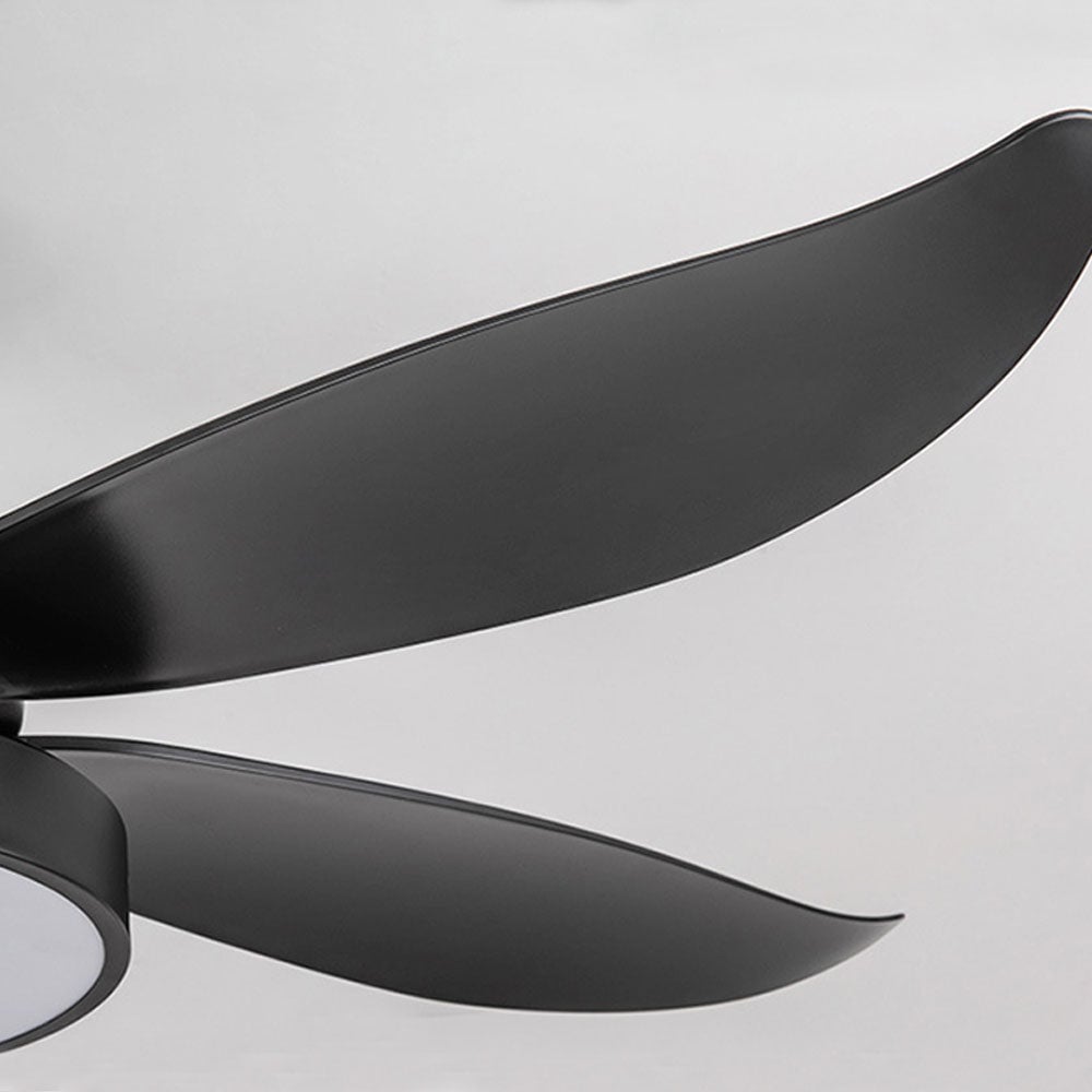 Haydn 5-Blätter Grundlegender Dicker Deckenventilator, Metall & ABS, ∅132CM - Lumpaz