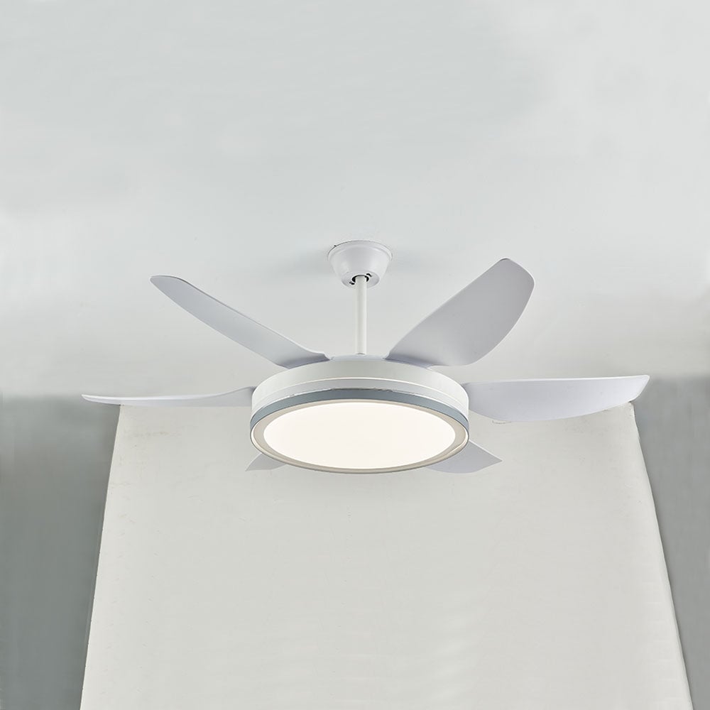 Haydn 6-Blatt-Deckenventilator mit Beleuchtung Grundlegend, 2 Farben, ∅130CM - Lumpaz