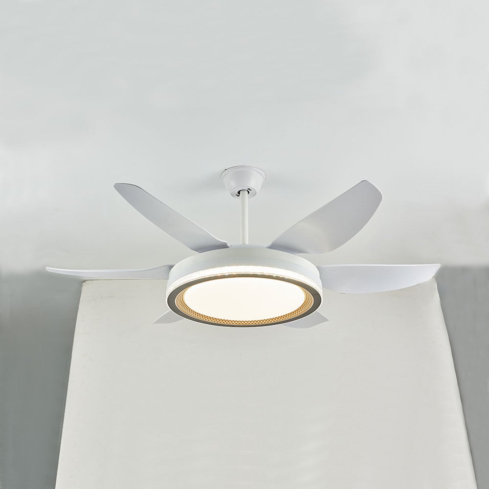 Haydn 6-Blatt-Deckenventilator mit Beleuchtung Grundlegend, ∅130CM - Lumpaz