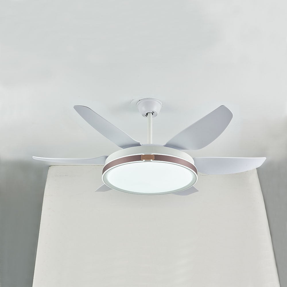 Haydn 6-Blatt-Deckenventilator mit Beleuchtung, 4 Farben, ∅130CM - Lumpaz