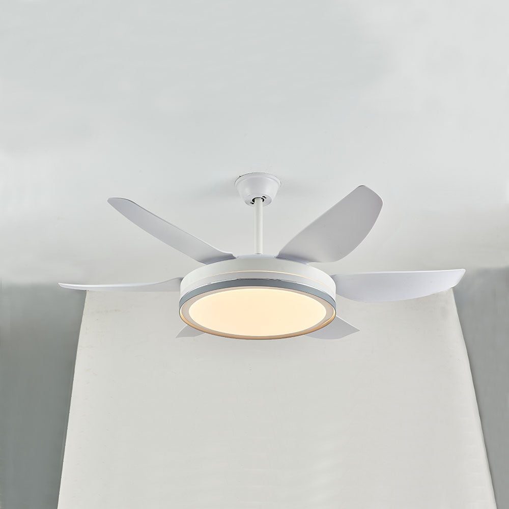 Haydn 6-Blatt-Deckenventilator mit Beleuchtung Grundlegend, 2 Farben, ∅130CM - Lumpaz