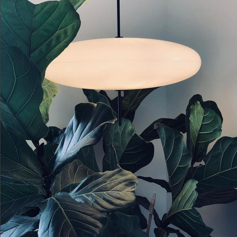 Leilani Pendelleuchte Oval - Lumpaz