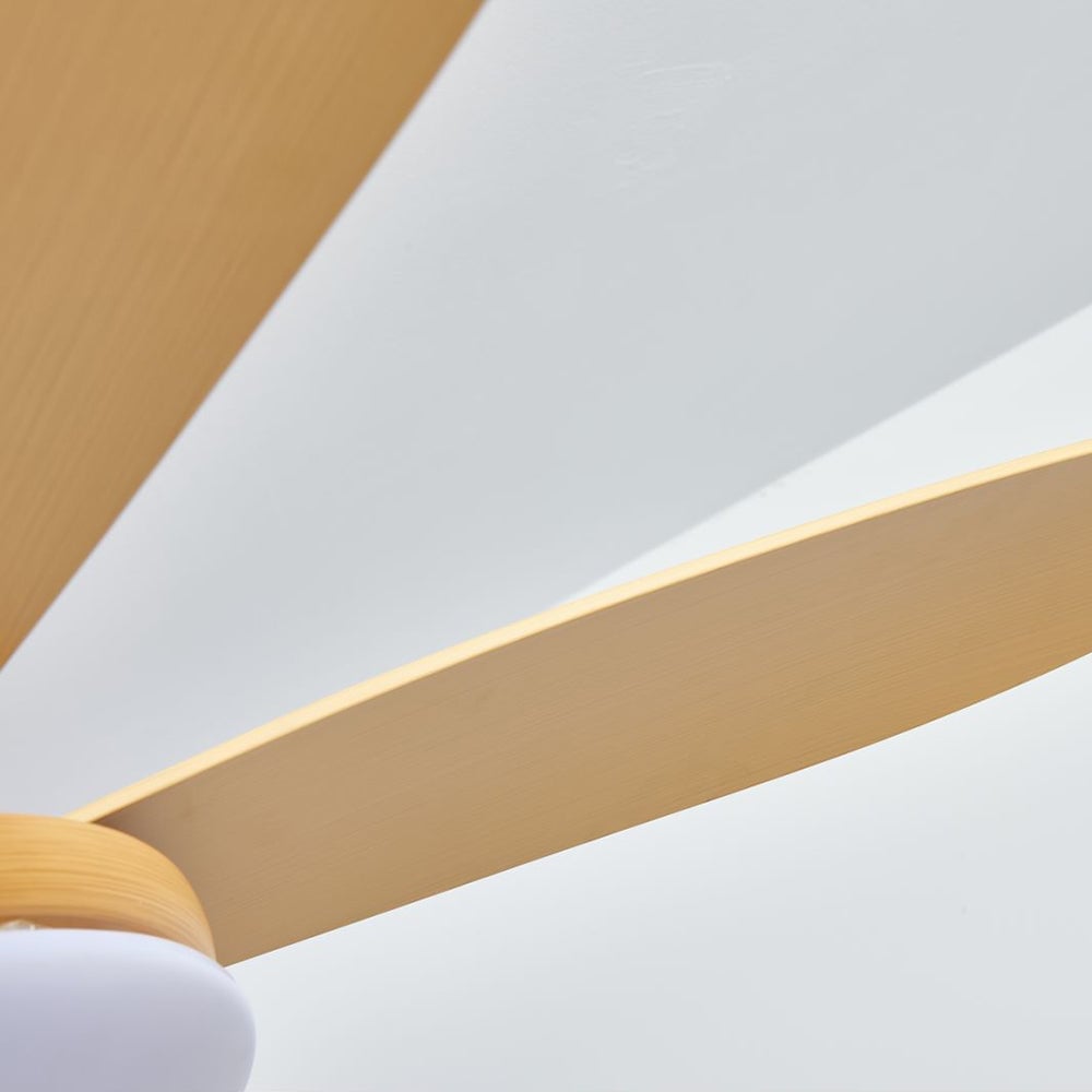 Haydn 5 Blätter Deckenventilator mit Beleuchtung, Metall & Acryl, ∅100/120CM - Lumpaz