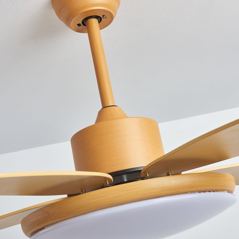 Haydn 5 Blätter Deckenventilator mit Beleuchtung, Metall & Acryl, ∅100/120CM - Lumpaz