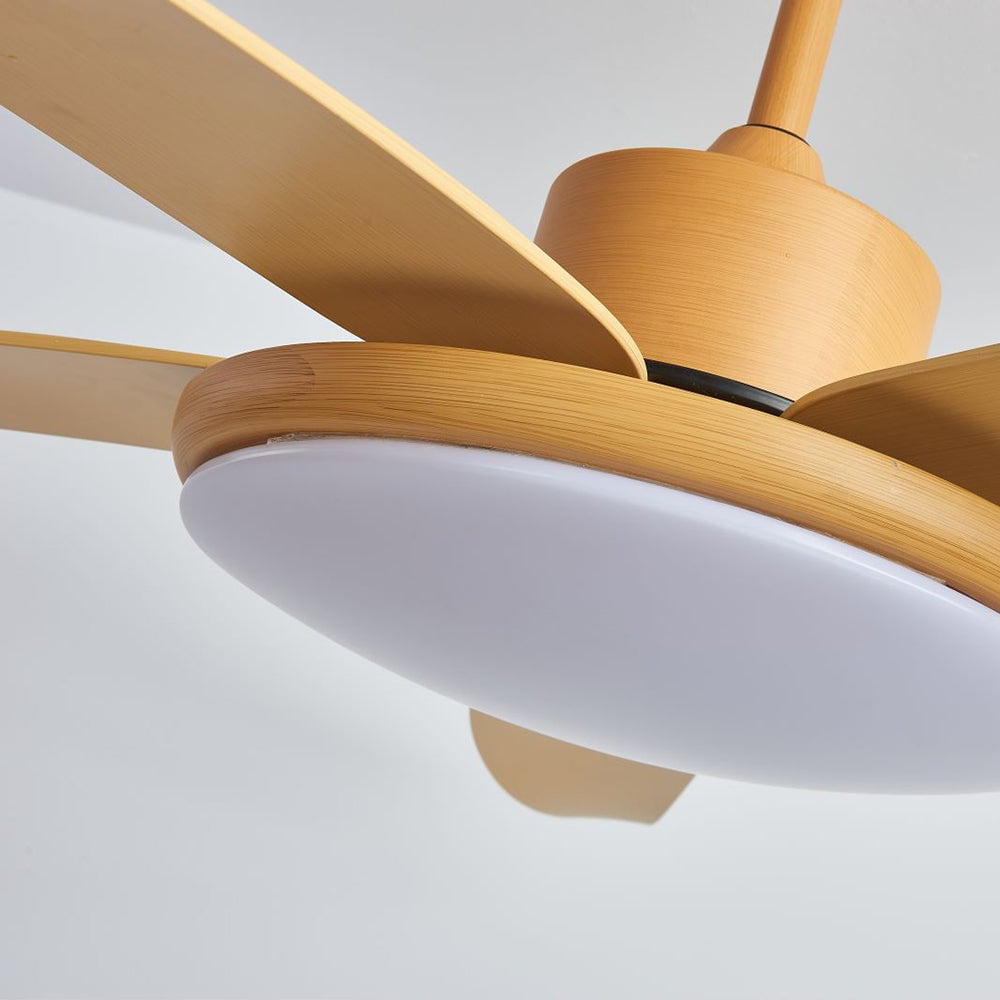Haydn 5 Blätter Deckenventilator mit Beleuchtung, Metall & Acryl, ∅100/120CM - Lumpaz
