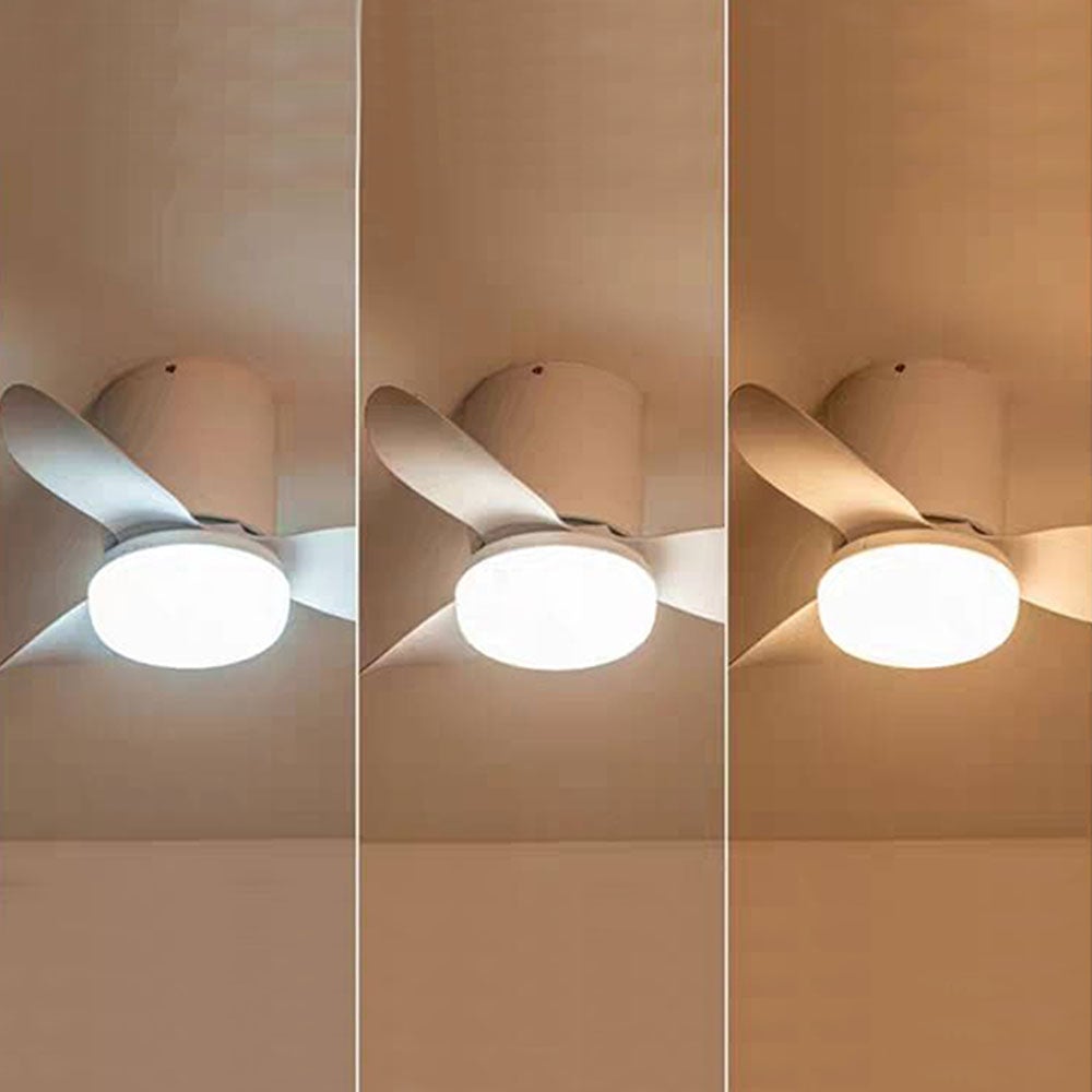 Walters 3-Blatt-Deckenventilator mit Beleuchtung, 3 Farbe, ∅60CM - Lumpaz