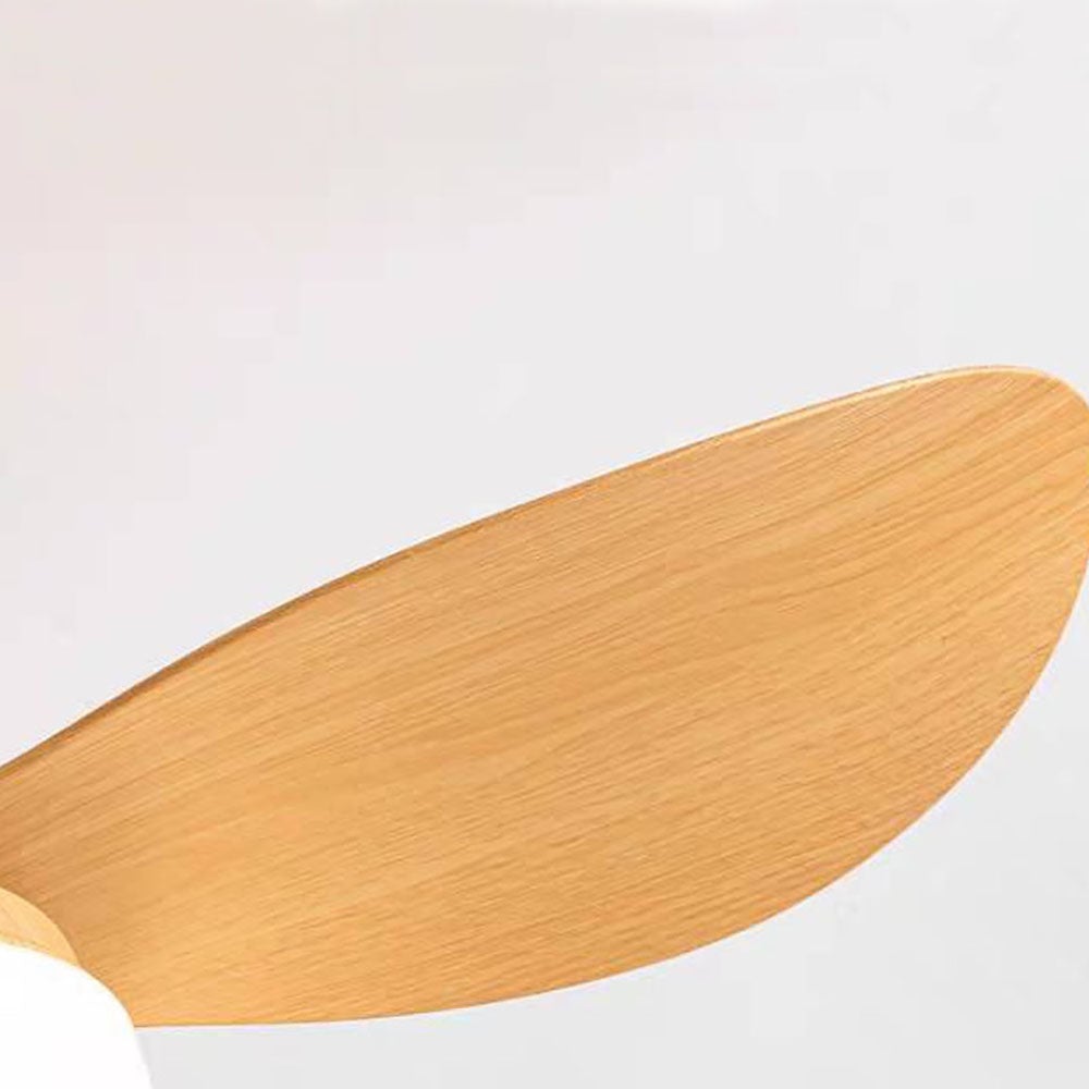 Walters 3-Blatt-Deckenventilator mit Beleuchtung, 3 Farbe, ∅60CM - Lumpaz