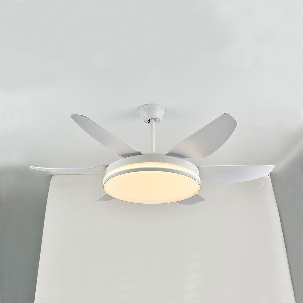 Haydn 6-Blatt-Deckenventilator mit Beleuchtung, 3 Farben, ∅130CM - Lumpaz