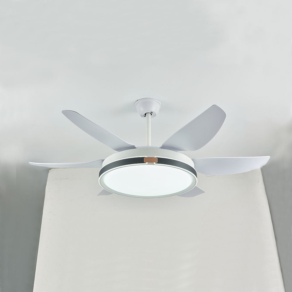 Haydn 6-Blatt-Deckenventilator mit Beleuchtung, 4 Farben, ∅130CM - Lumpaz