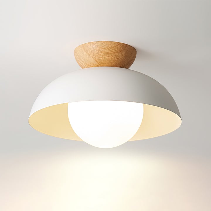 Minimalist Eco-friendly Metal Ceiling Light - Lumpaz