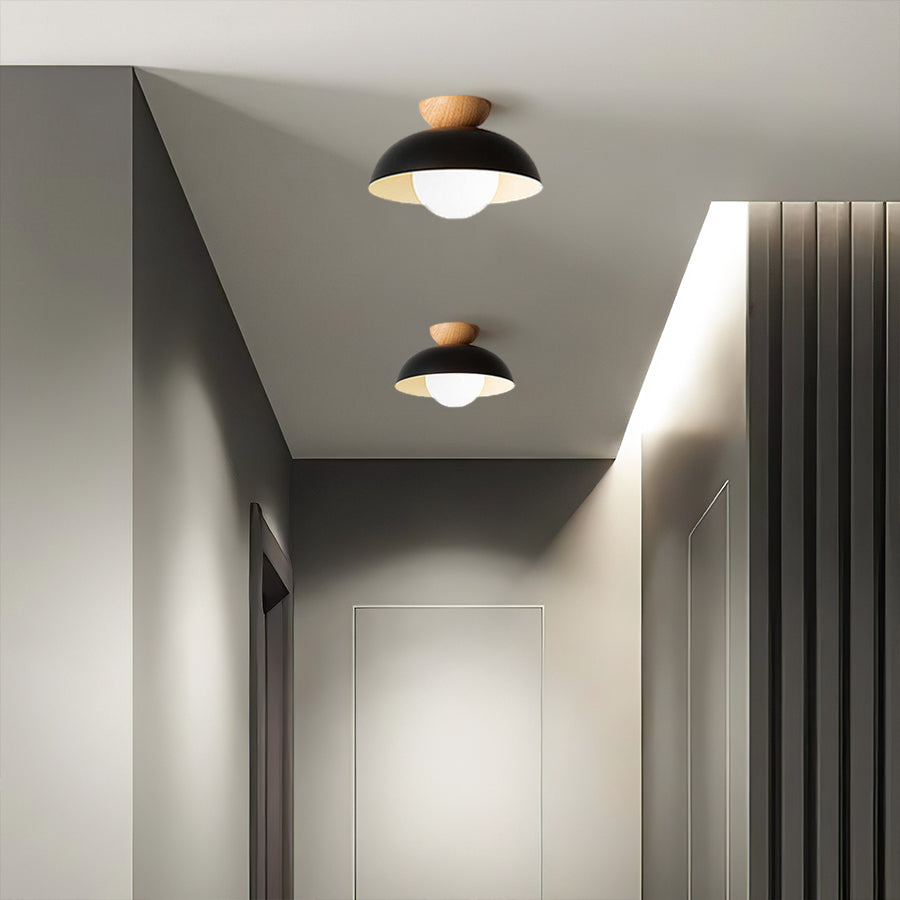 Minimalist Eco-friendly Metal Ceiling Light - Lumpaz