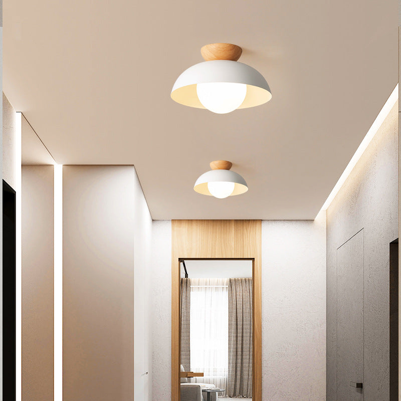 Modern Minimalist Eco-friendly Ceiling Light - Lumpaz