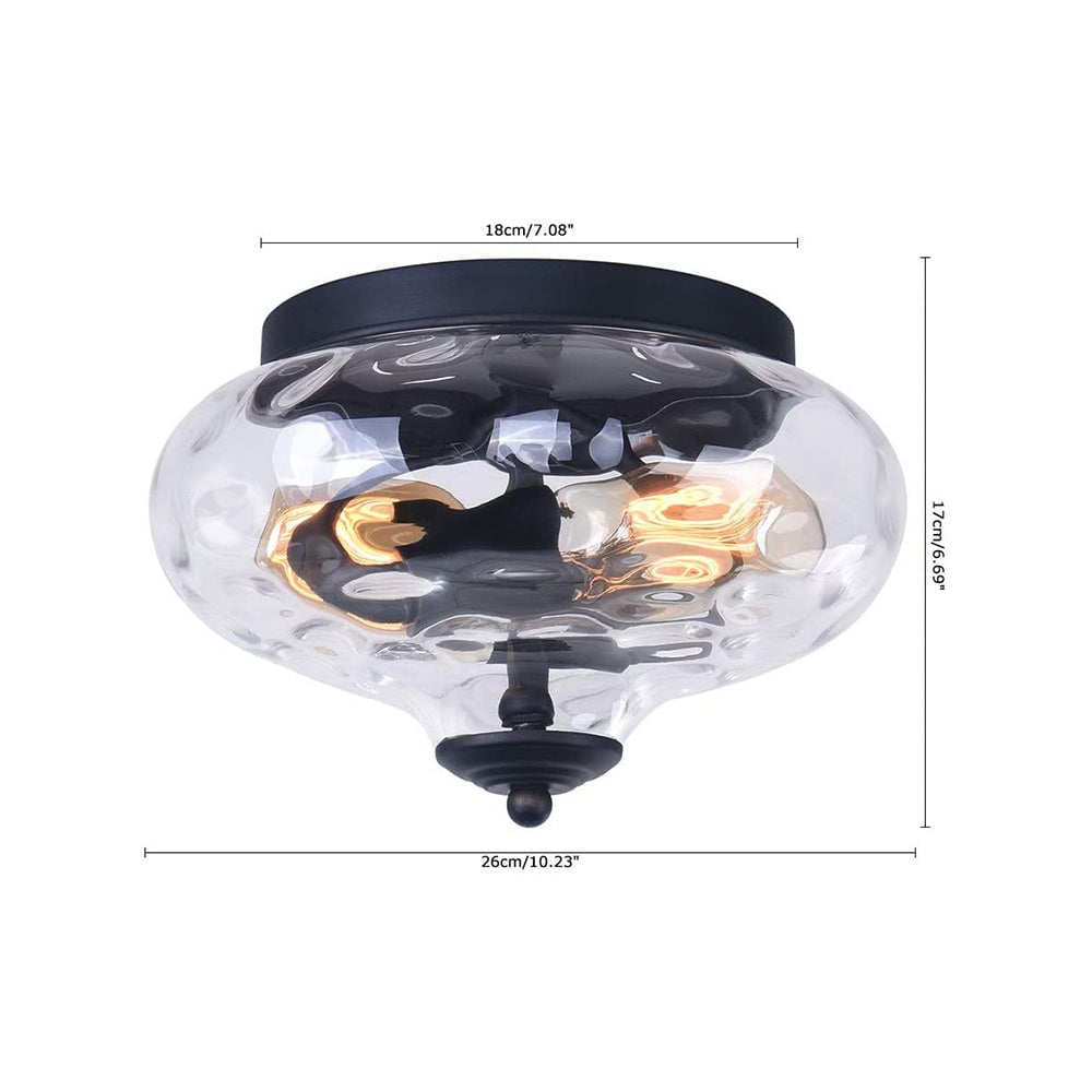 Farmhouse 2-Light Glass Shade Ceiling Light - Lumpaz