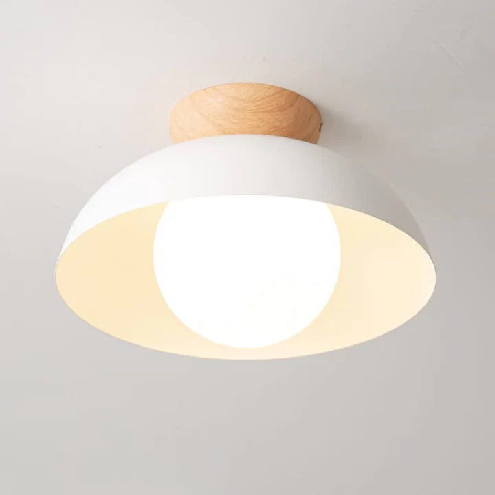 Modern Minimalist Eco-friendly Ceiling Light - Lumpaz