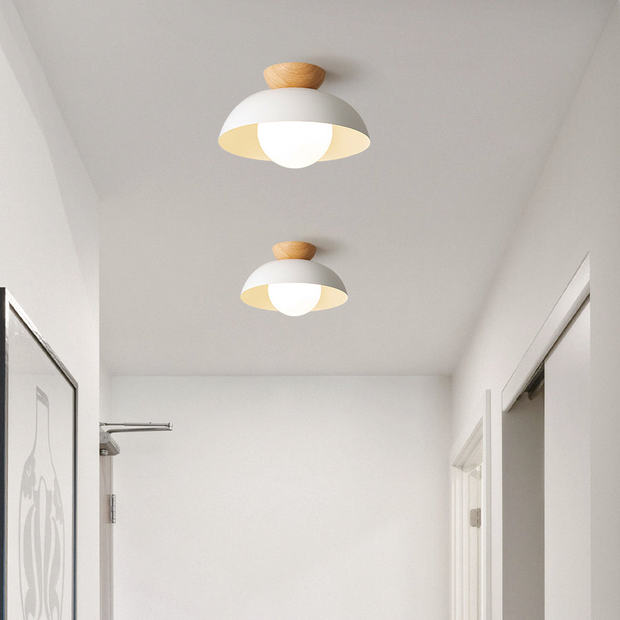 Minimalist Eco-friendly Metal Ceiling Light - Lumpaz