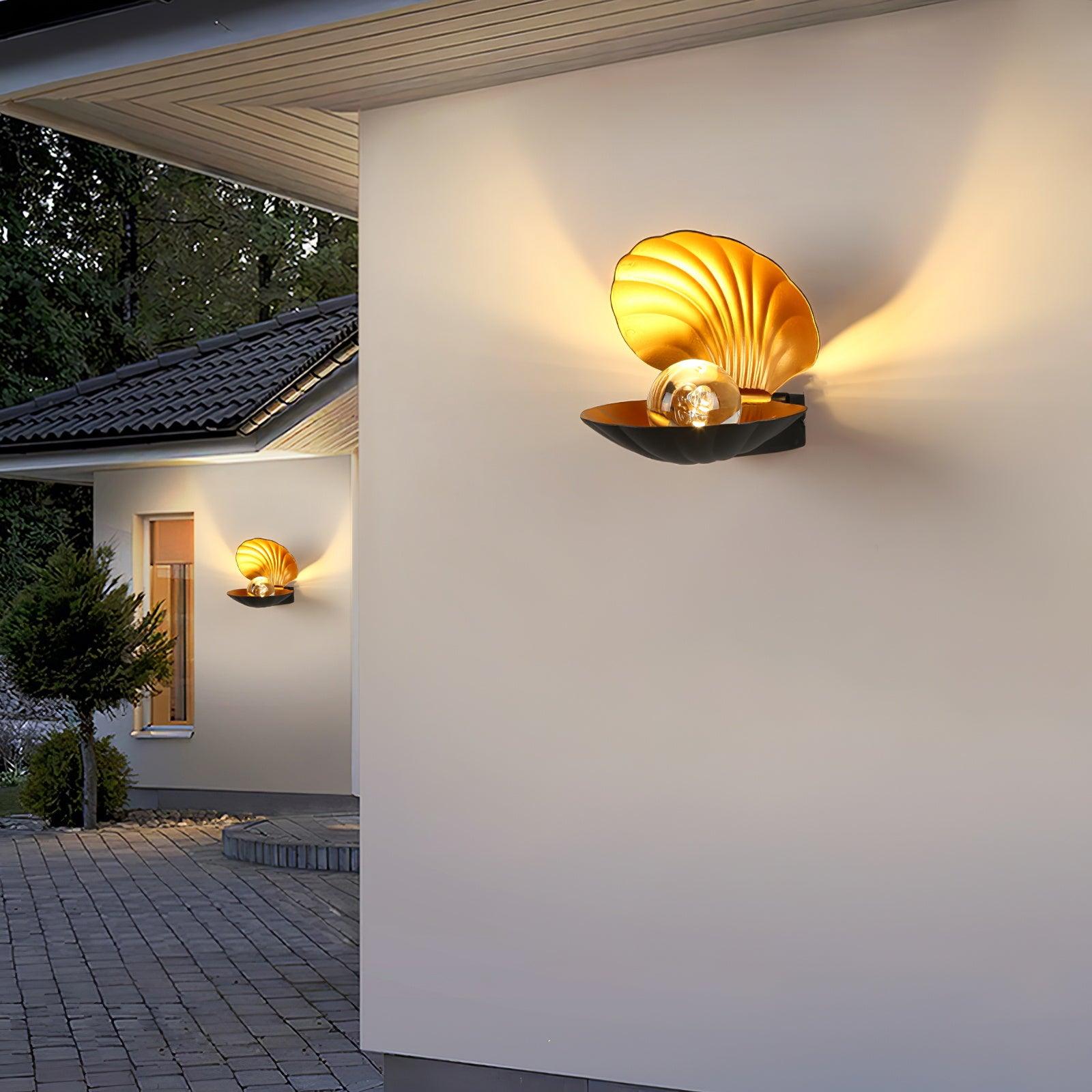 Pearl Clam Wall Light - Lumpaz