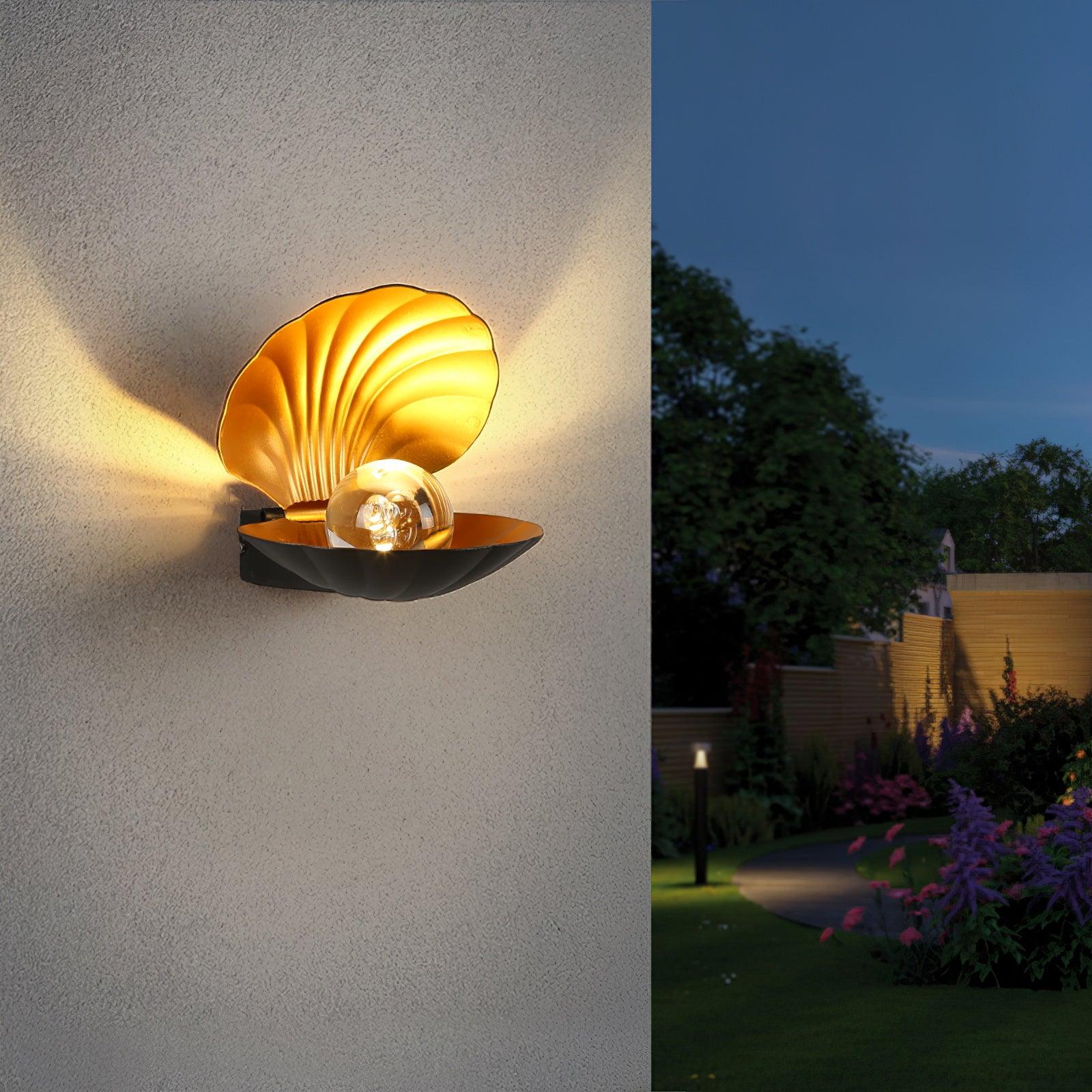 Pearl Clam Wall Light - Lumpaz