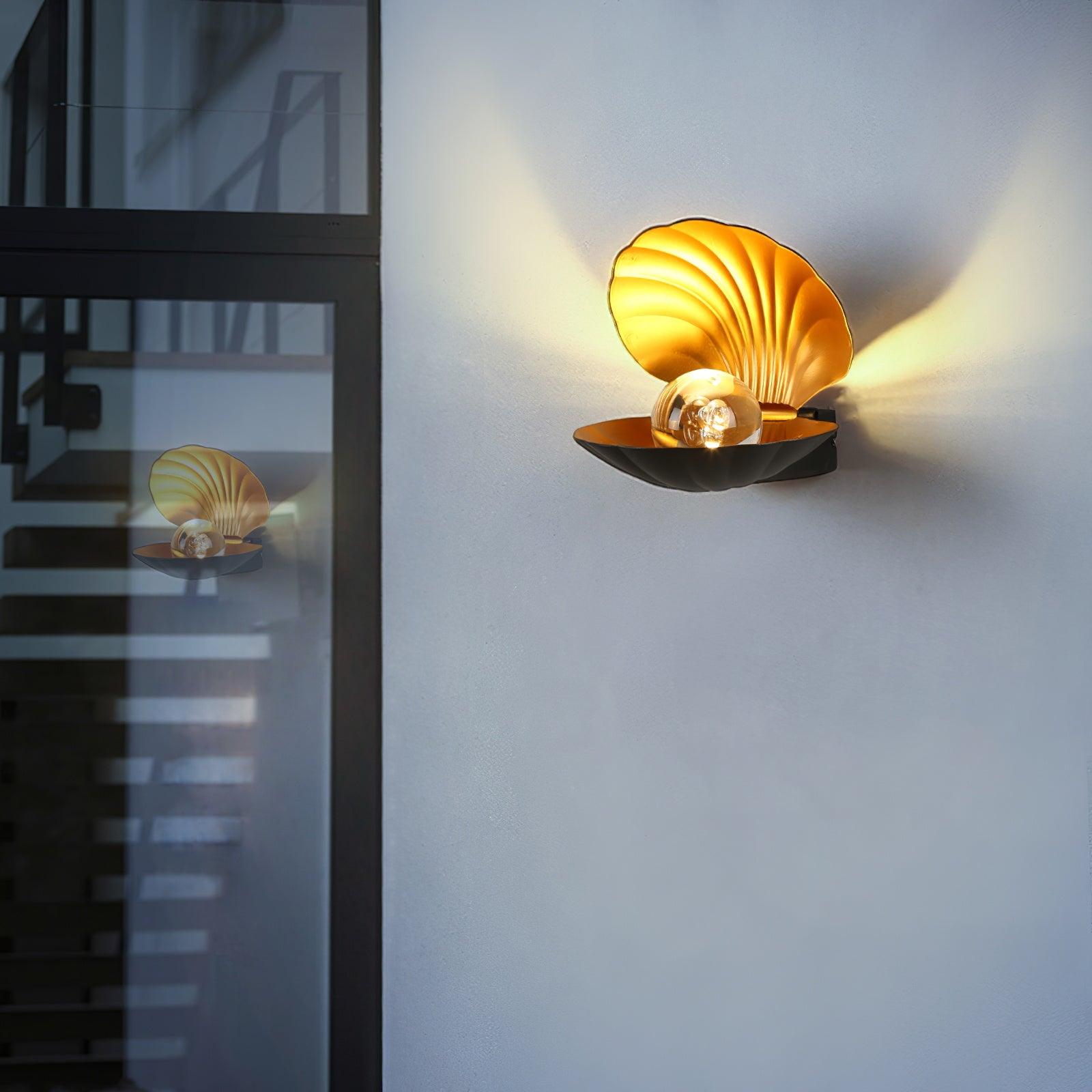Pearl Clam Wall Light - Lumpaz