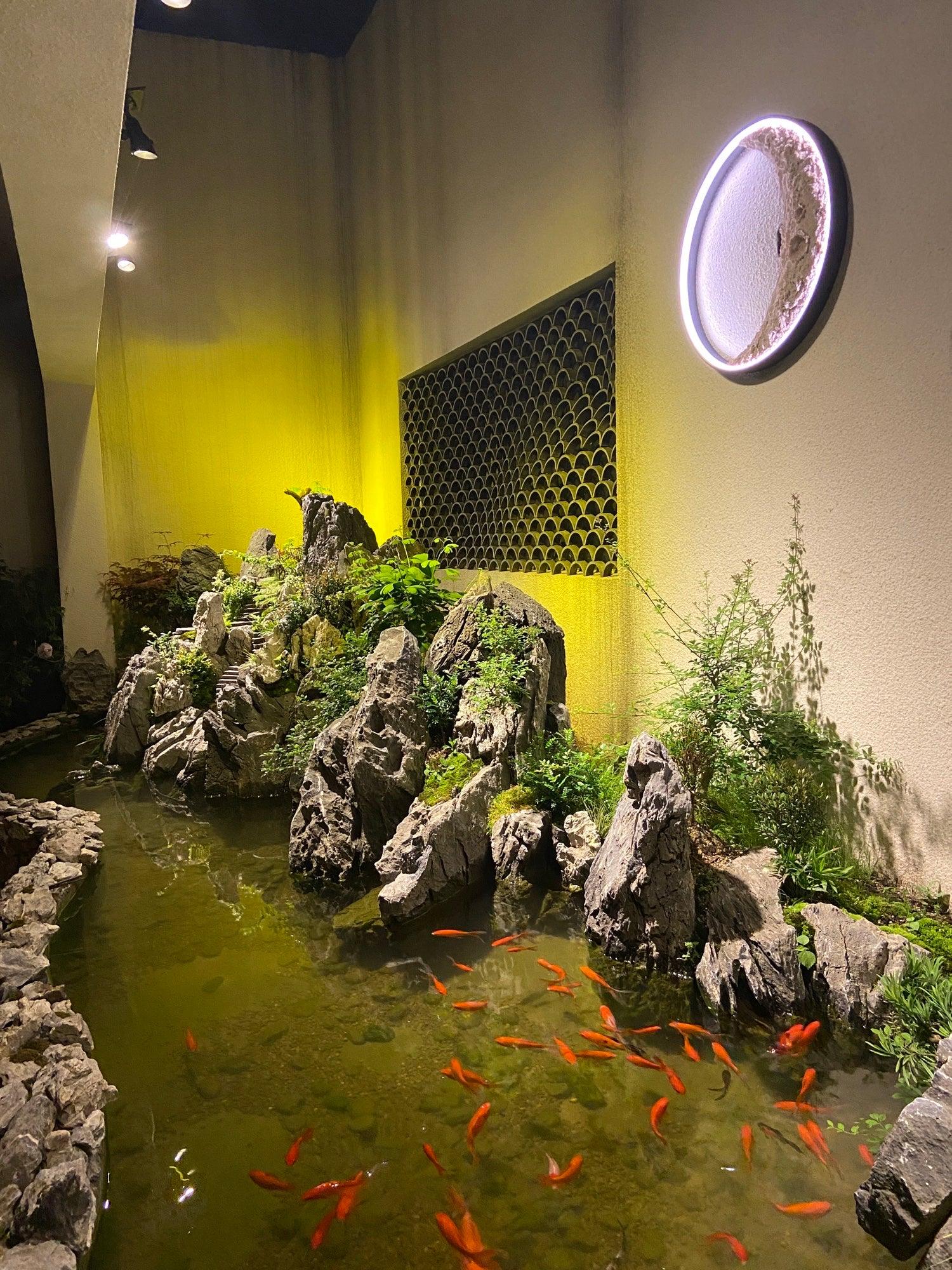Moon Wall Lamp - Lumpaz