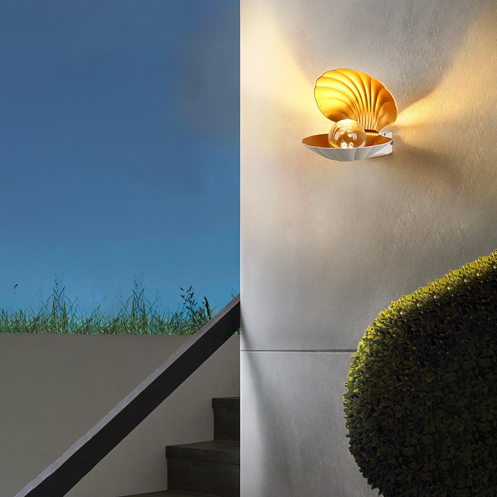 Pearl Clam Wall Light - Lumpaz