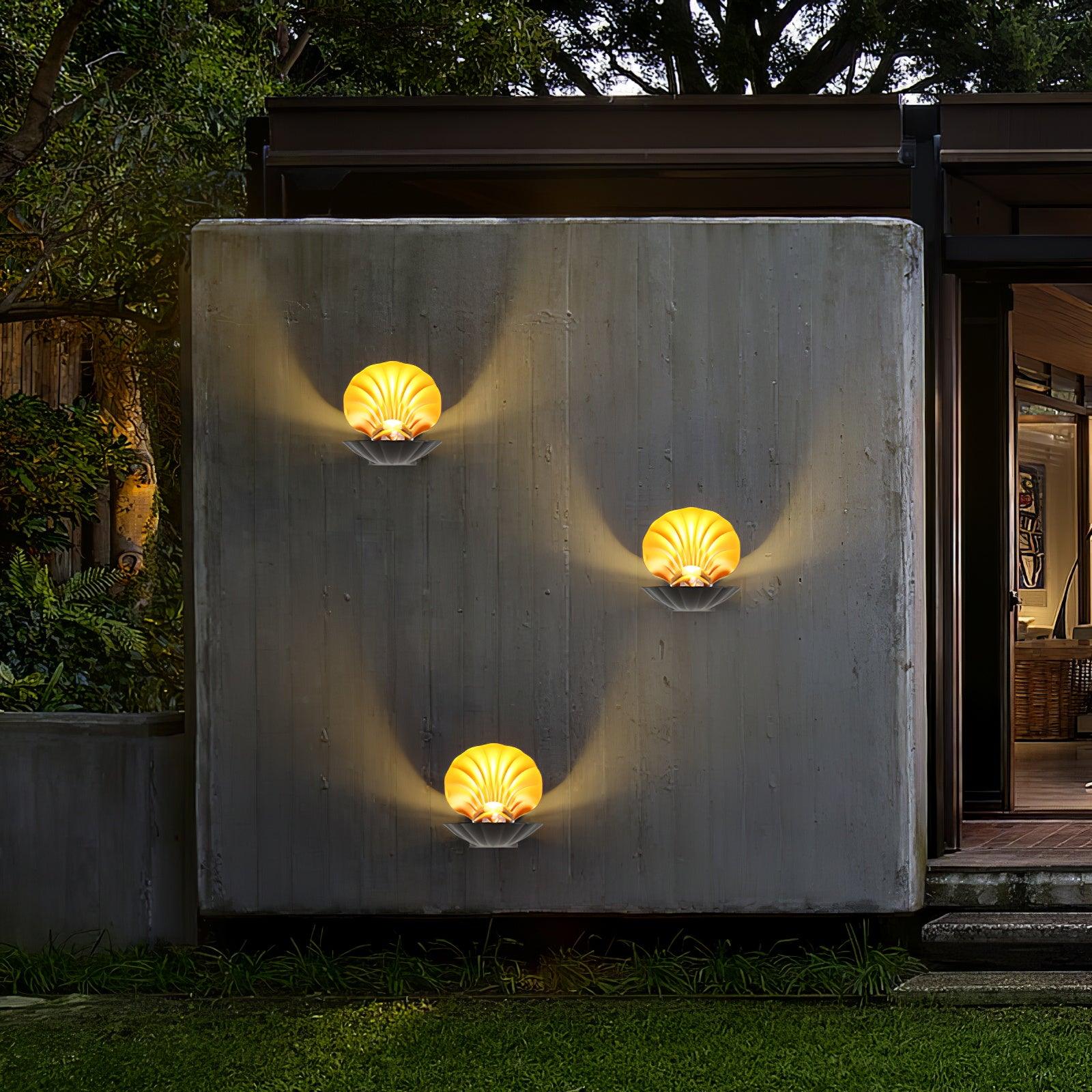 Pearl Clam Wall Light - Lumpaz