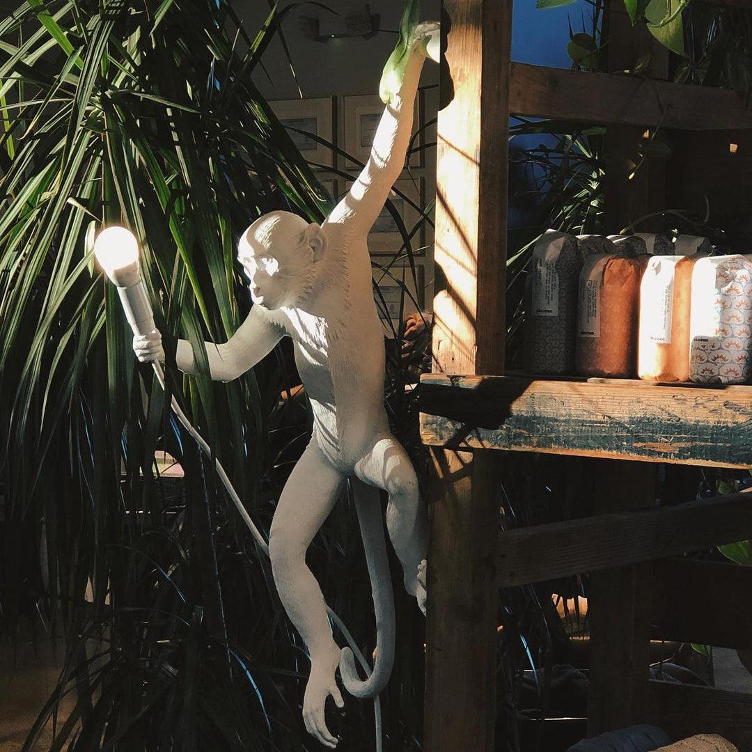 Monkey Wall Lamp - Lumpaz