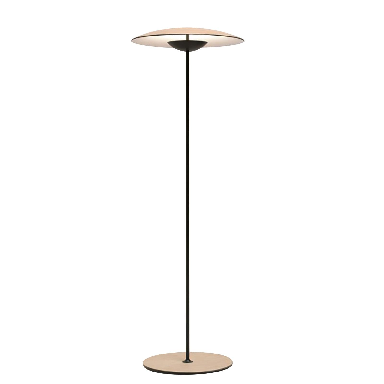Innovative Directional Floor Lamp - Lumpaz